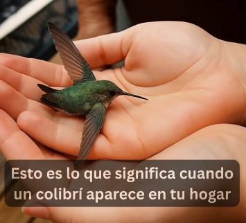 Colibríes: Símbolos de Energía Positiva y Bienestar Natural