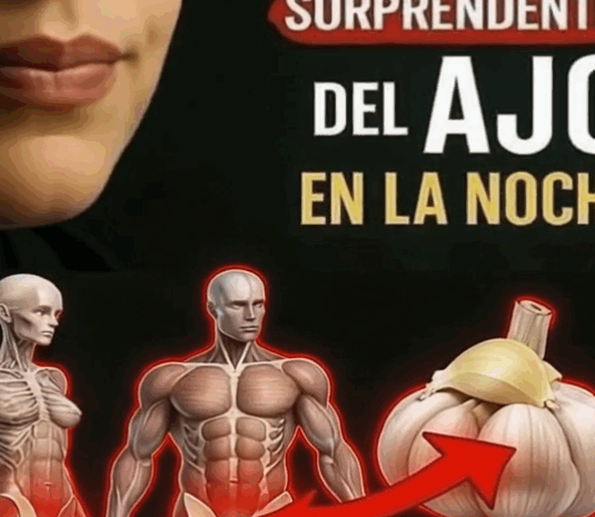El Impacto del Ajo en la Noche: Bienestar y Salud