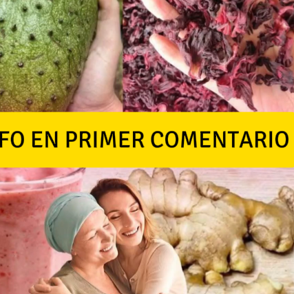 Bebida de flor de jamaica, jengibre y guanábana