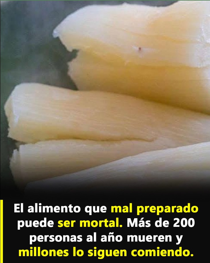 Trozo de yuca