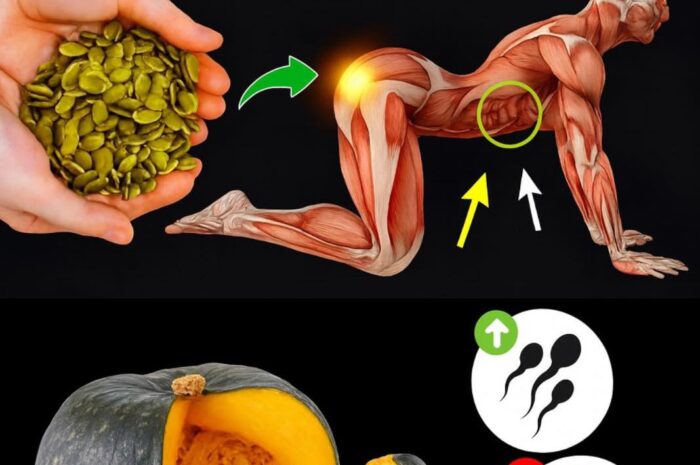 Los Asombrosos Beneficios de Comer Semillas de Calabaza Diariamente