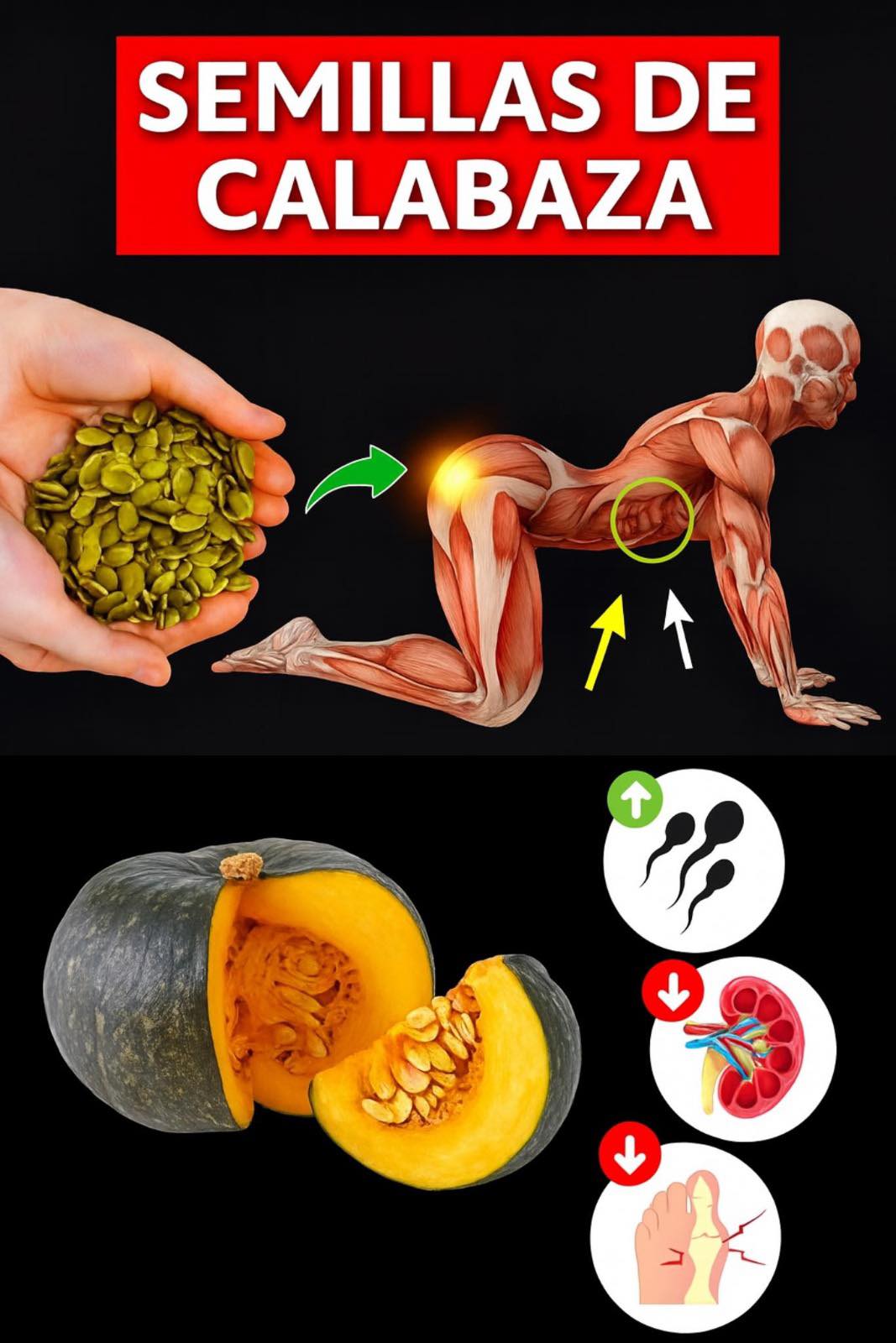 Semillas de calabaza y sus beneficios