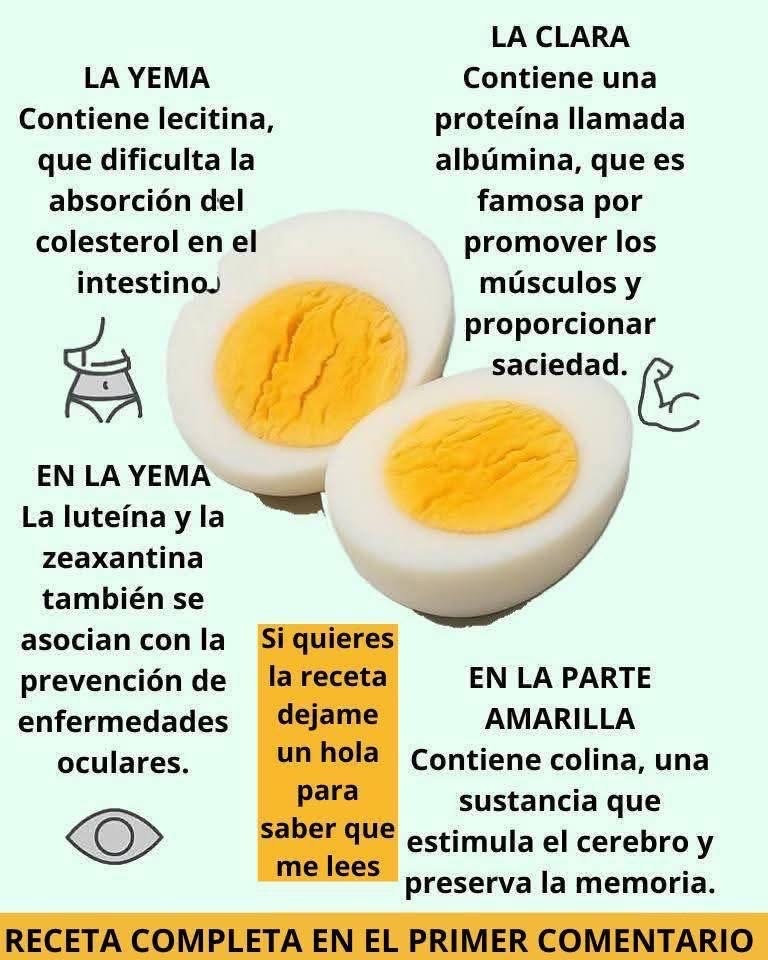 Beneficios nutricionales del huevo duro