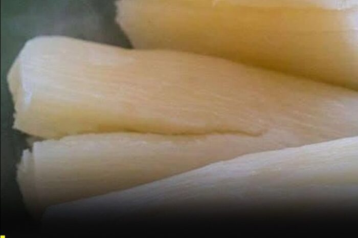 Cómo Preparar la Yuca de Forma Segura: Evita Riesgos para la Salud