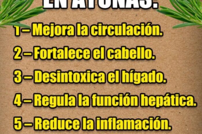 Té de Romero en Ayunas: 20 Beneficios Impresionantes y Cómo Prepararlo