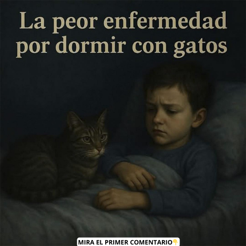 Niño acostado en la cama con un gato