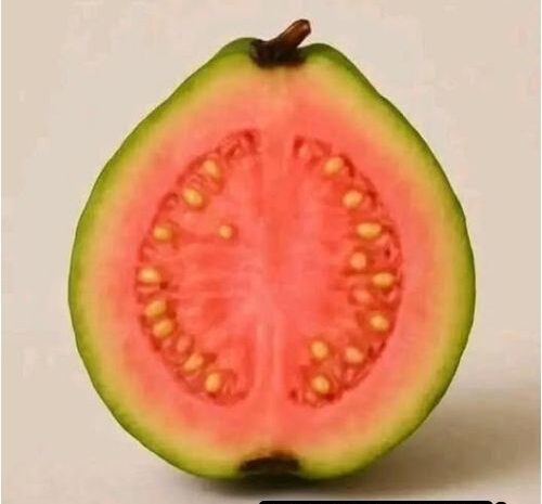 ¿Es el Té de Hojas de Guayaba el Remedio Natural que Estabas Buscando?