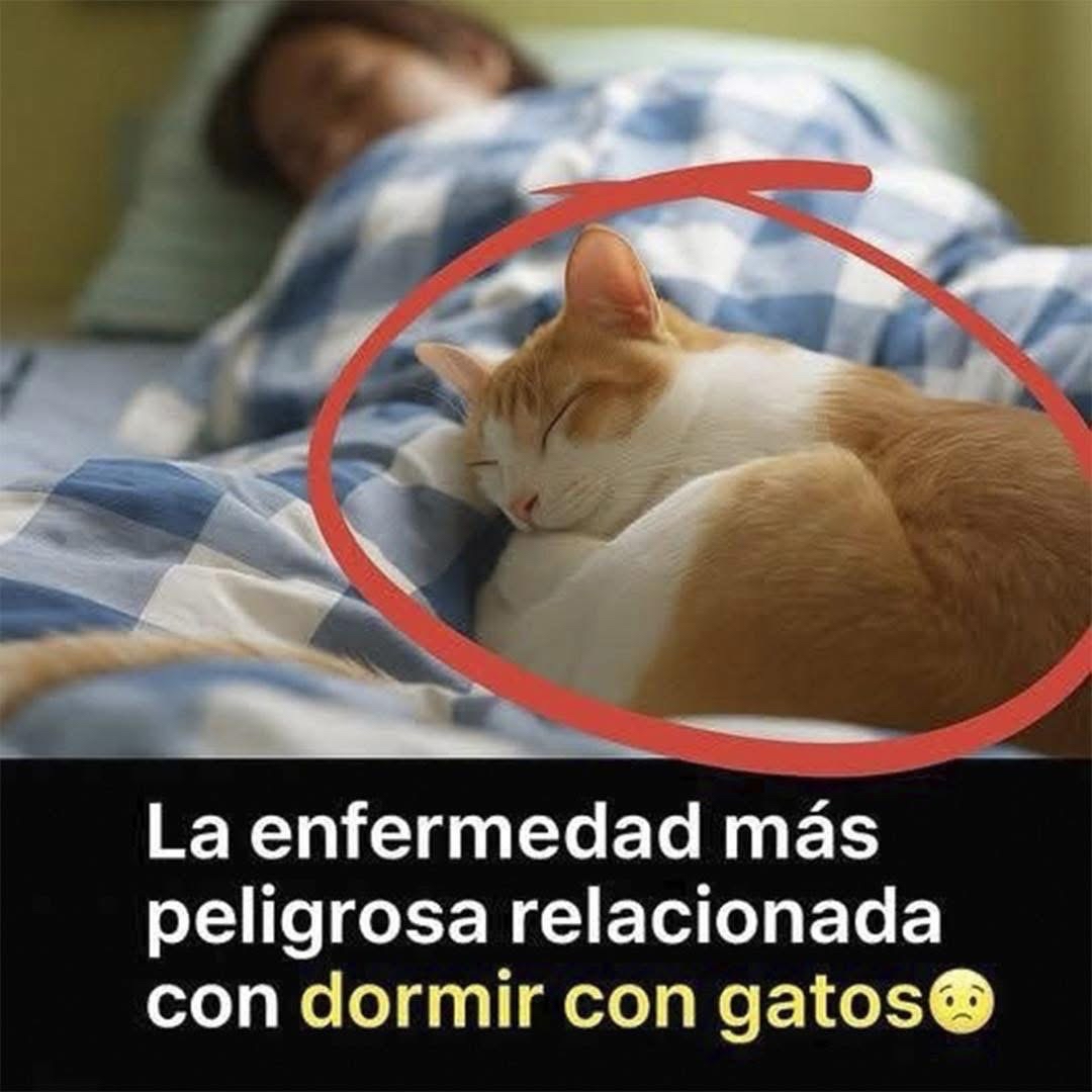Persona durmiendo con su gato