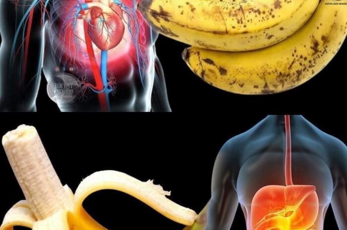 Los Increíbles Beneficios del Plátano para la Salud Cardiovascular y Digestiva