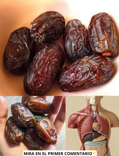 Dátiles y salud digestiva