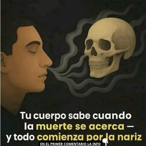 Ilustración de una persona enfrentándose a un cráneo