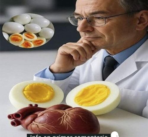 ¡Descubre los Beneficios del Huevo Cocido para la Salud Cardiovascular!