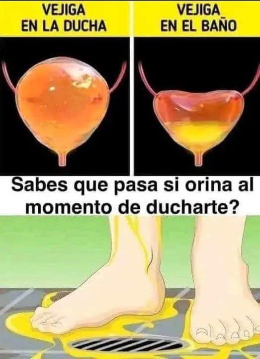 Comparación de vejiga llena y vacía