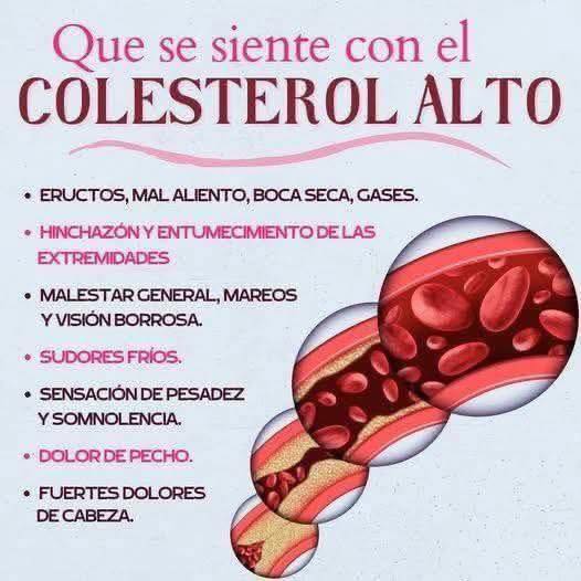 Colesterol alto en vasos sanguíneos