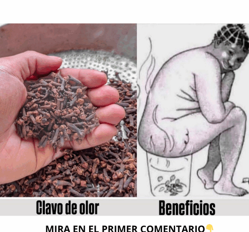 El Poder del Clavo de Olor: Beneficios, Usos y Recetas Naturales