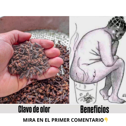 Clavos de olor y su uso en remedios