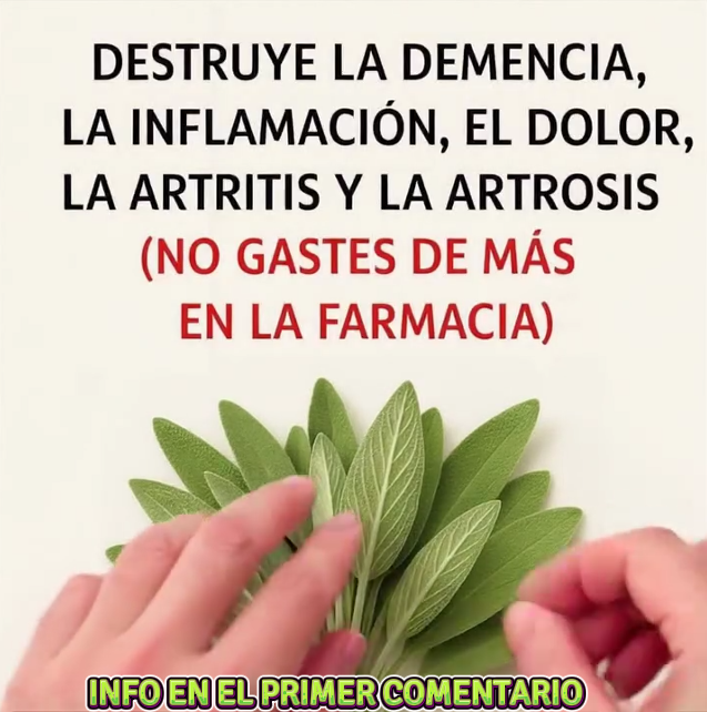 Beneficios de la Salvia