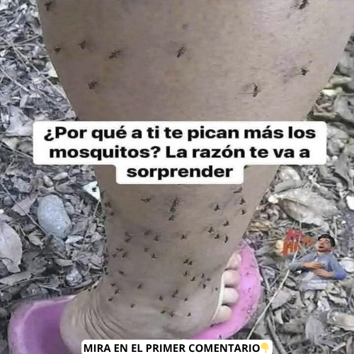 Pierna con mosquitos