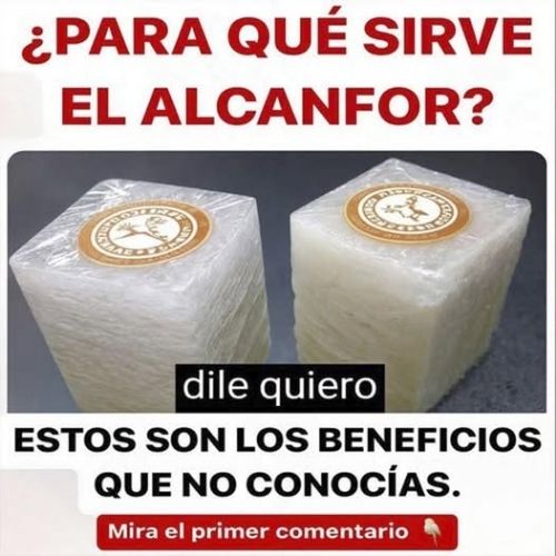 Bloques de Alcanfor