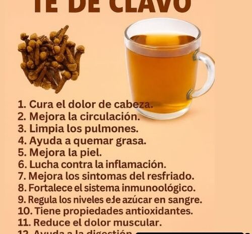 Descubre los Beneficios del Té de Clavo para tu Salud