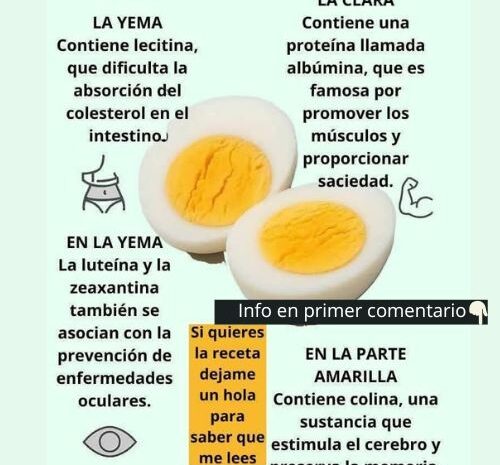 Beneficios del Huevo Hervido: Nutrición Vital en tu Dieta