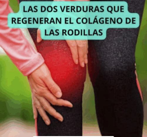 Las Dos Verduras que Regeneran el Colágeno de las Rodillas