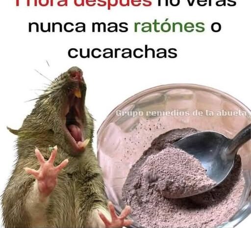 Los Riesgos de Dormir con Gatos y un Remedio Efectivo para Plagas