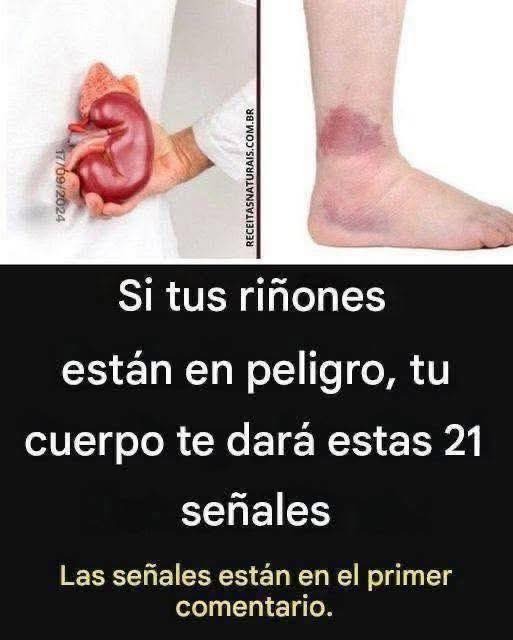 Signos de que los riñones están en peligro