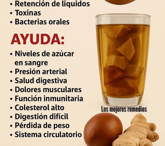 El Tesoro Natural de la Semilla de Aguacate y Jengibre