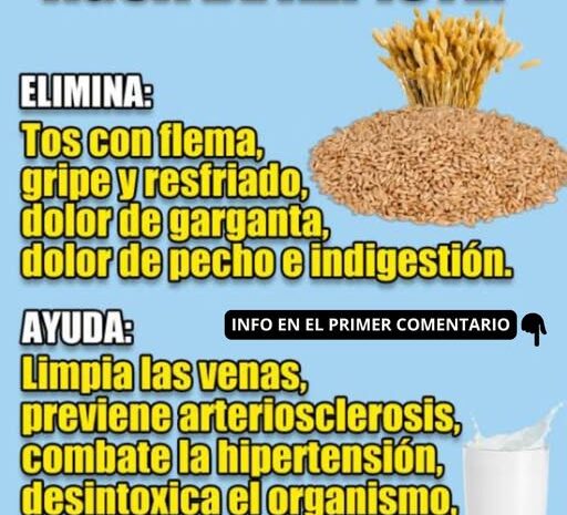 Agua de Alpiste: Un Remedio Natural para la Salud