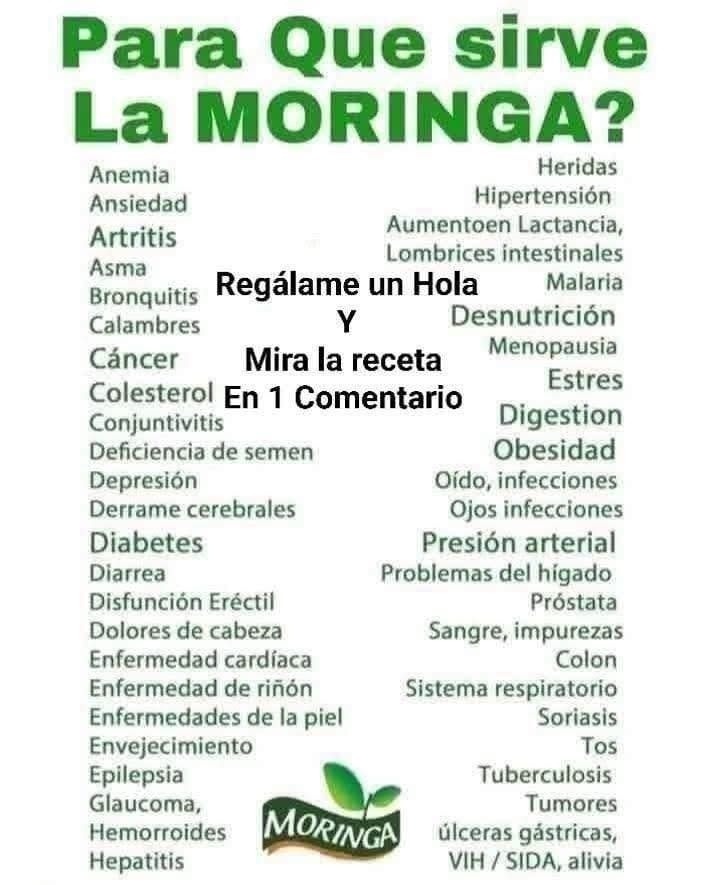 Receta de Moringa