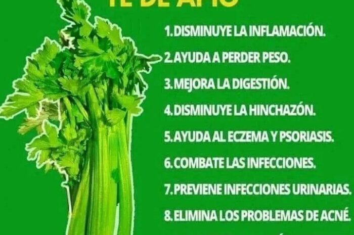 Descubre el Poder del Té de Apio para Transformar tu Salud