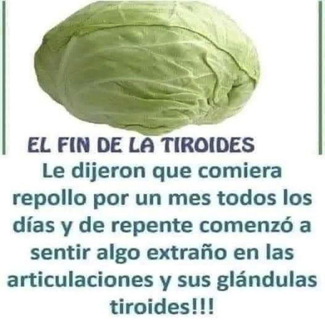 Repollo y sus propiedades