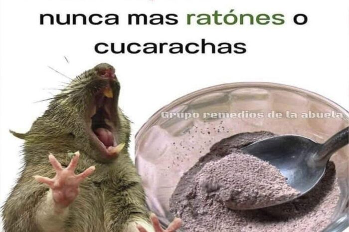 Mezcla Casera para Repeler Ratones y Cucarachas