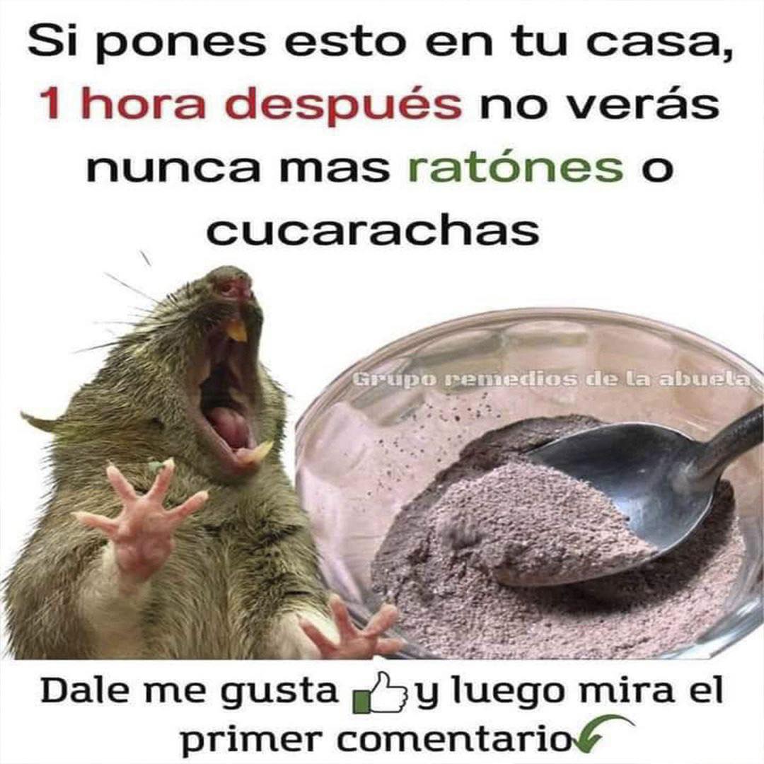 Mezcla Casera para Repeler Plagas