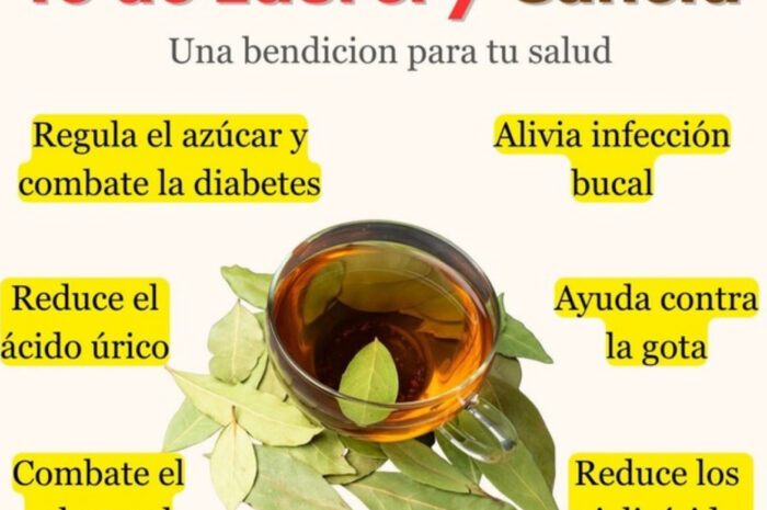 Té de Laurel: Beneficios Increíbles y Cómo Prepararlo