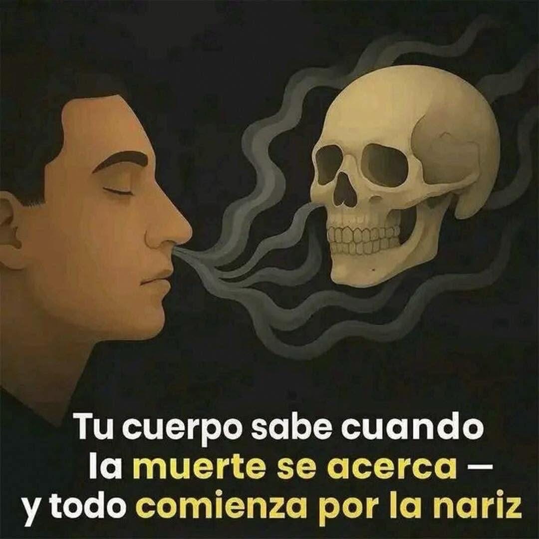 Conexión entre el cuerpo y la muerte