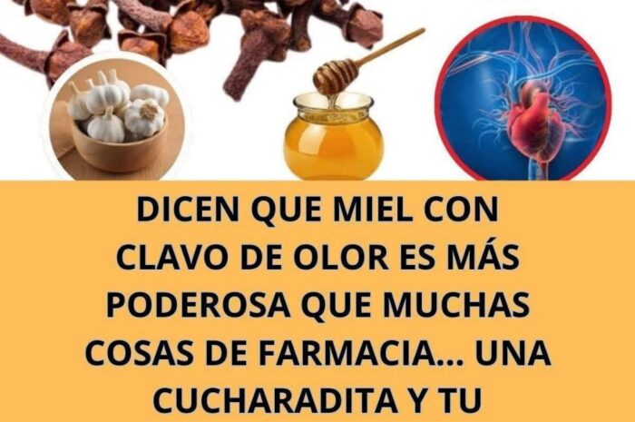 Miel con Clavo de Olor y Ajo: El Remedio Natural Más Potente