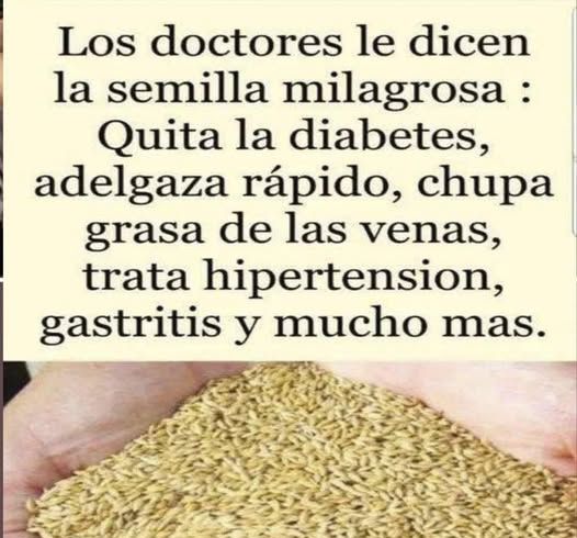 Manos sosteniendo semillas de alpiste