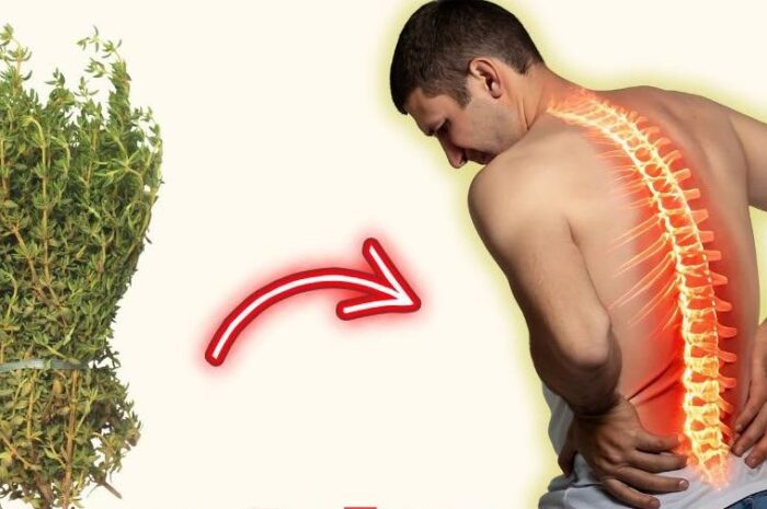 La Hierba Más Potente: Beneficios del Tomillo para Tu Salud