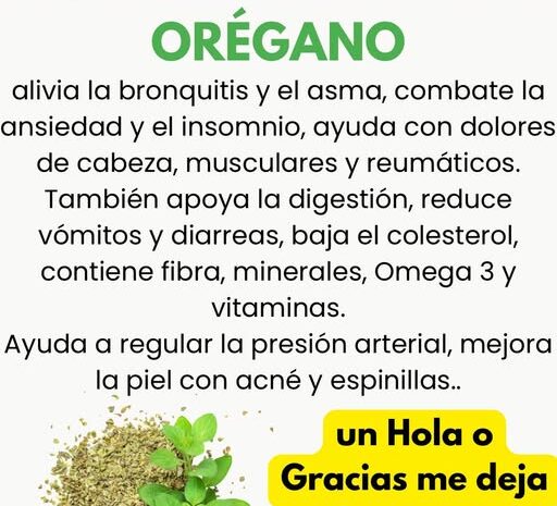 Las Maravillas del Orégano: Beneficios y Usos para tu Salud