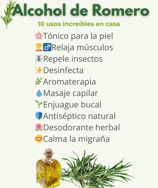 Botella de alcohol de romero y ramas de romero