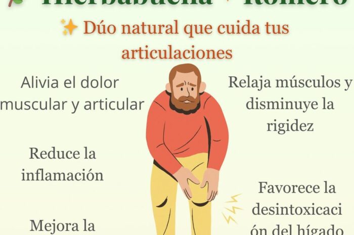 Alivio Natural para tus Articulaciones: Hierbabuena y Romero