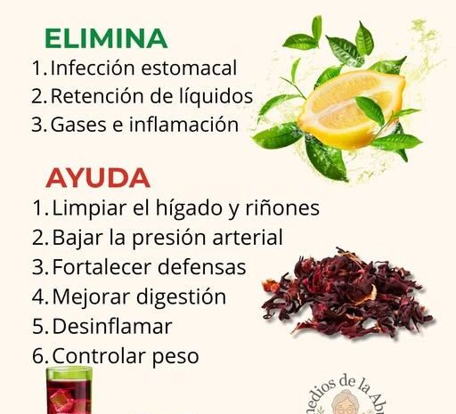 Té de Jamaica con Limón: Salud en Cada Taza