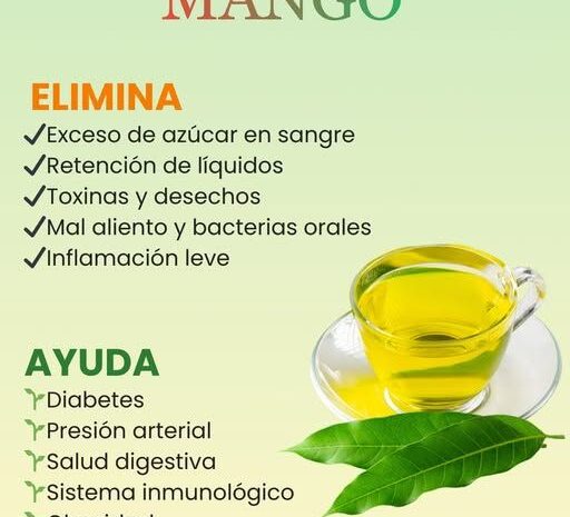 El Poder de las Hojas de Mango: Beneficios y Recetas Naturales