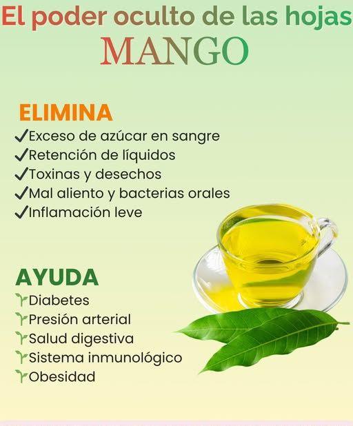 Té de hojas de mango
