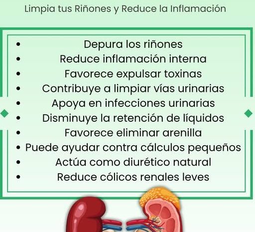 Cola de Caballo: Un Limpia-Riñones Natural Que Funciona
