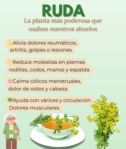 Remedio Ruda Ruda para la Salud: Beneficios y Usos Efectivos - FamiliaSalud.com ...