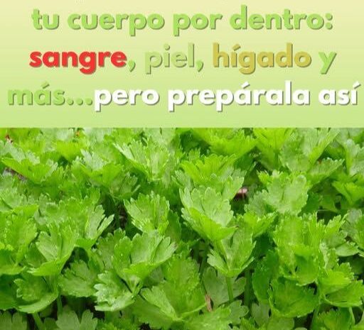 Jugo de Apio: El Potente Depurativo Natural para tu Cuerpo