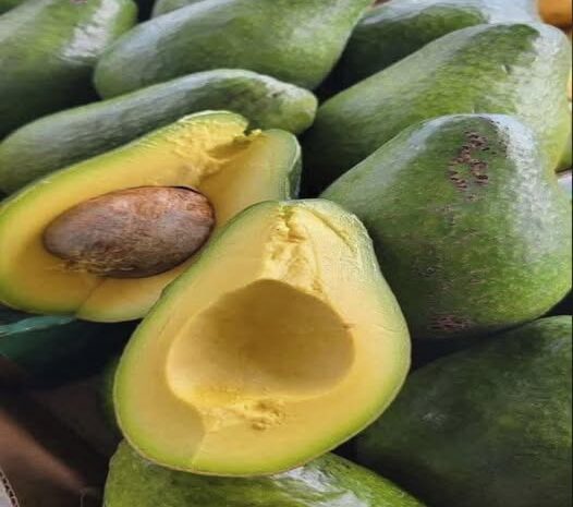 Los Increíbles Beneficios del Aguacate: Un Superalimento para tu Salud